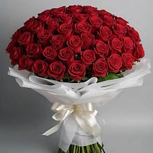 Букет 101 Красная роза Блэк Мэджик #REPLACE_PRED# Константиновской Ставропольского края