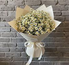 Букет цветов из:  Ромашки #REPLACE_PRED# Константиновской Ставропольского края