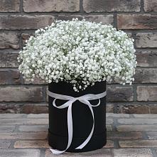 Цветочная композиция из Гипсофила в шляпной коробке #REPLACE_PRED# Константиновской Ставропольского края