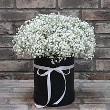 Цветочная композиция из Гипсофила в шляпной коробке в Константиновской Ставропольского края